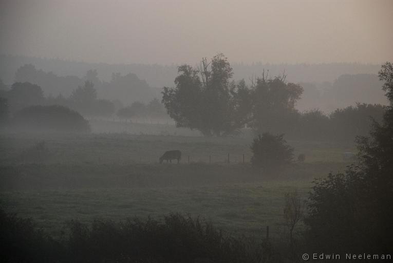 ENE-20070923-0006.jpg - Marsdijk, Lienden [nl] Uiterwaarden van de Nederrijn[en] Outer marshes of the Nederrijn river